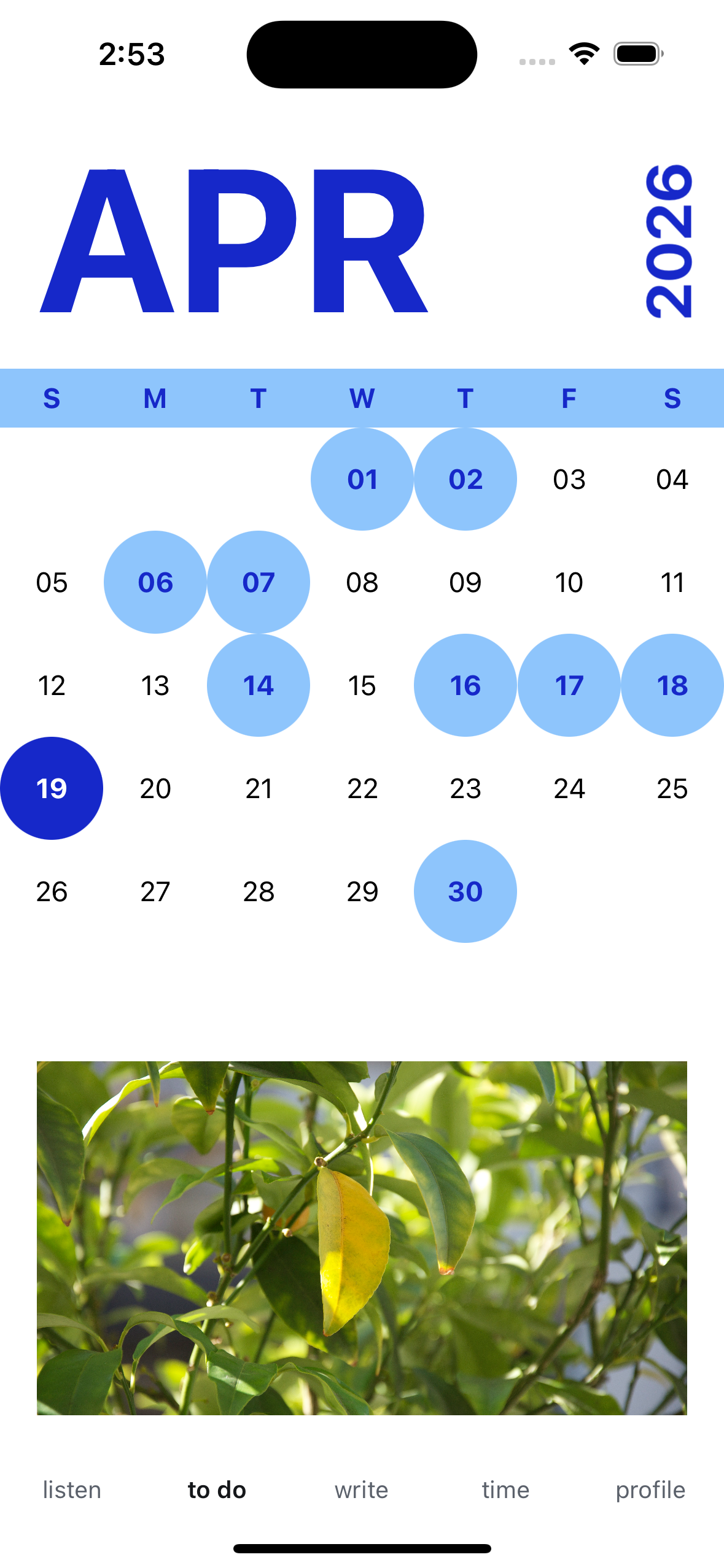 to do – calendar view